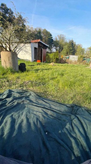 Działka ROD 322m² Jędrzychów – prąd, woda, studnia, pełne wyposażenie – gotowa od zaraz! - Więcej