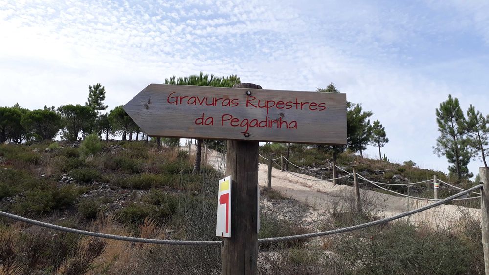 Terreno / Quinta , Penafiel, perto do Porto, 8000 m2, 30 000€