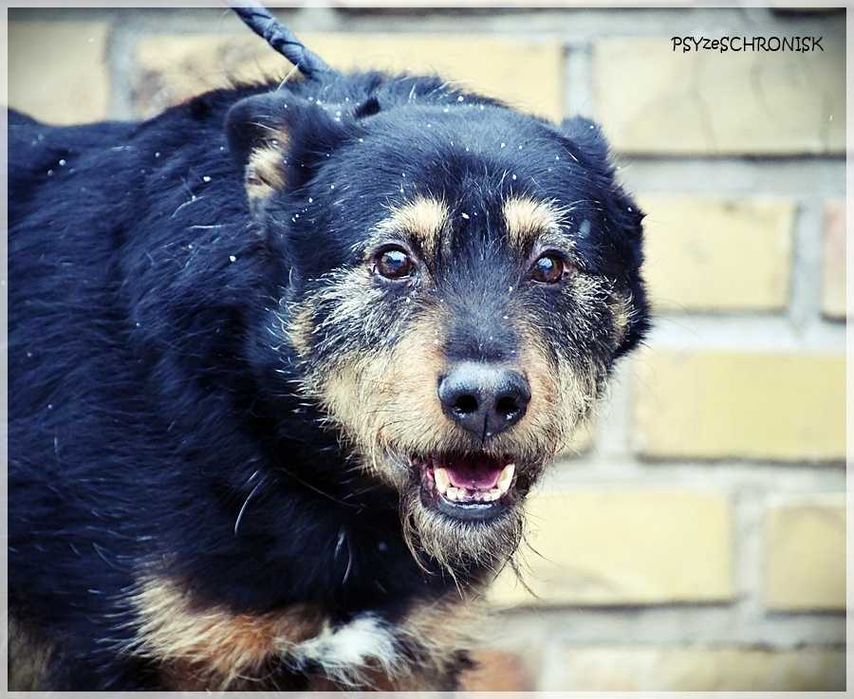 Wacek – „przepraszam, że żyję” – pokaż mu, że jest wyjątkowy