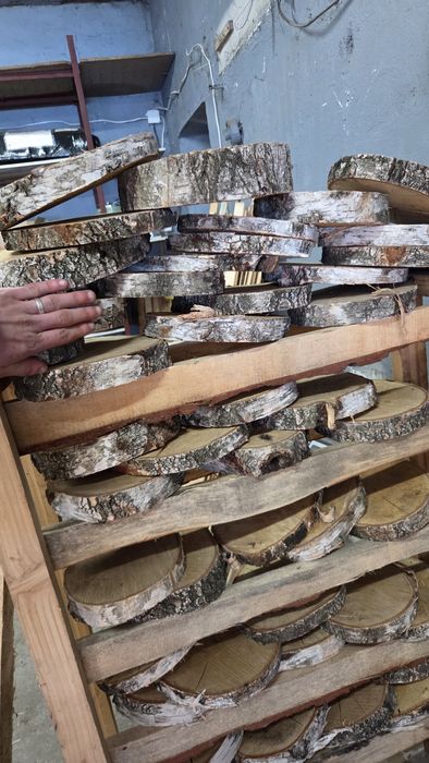 Plastry brzozowe suche plastry drewna