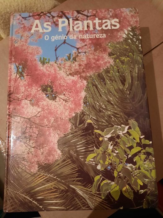 Enciclopédia juvenil