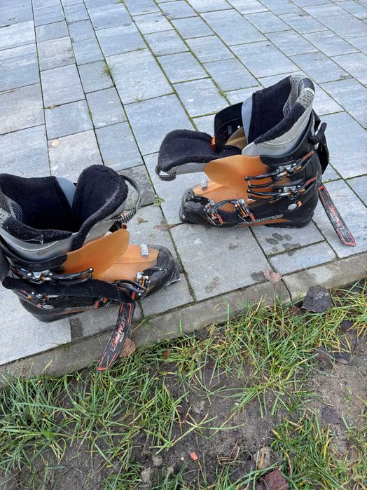 Buty narciarskie Salomon + narty Fisher 160cm