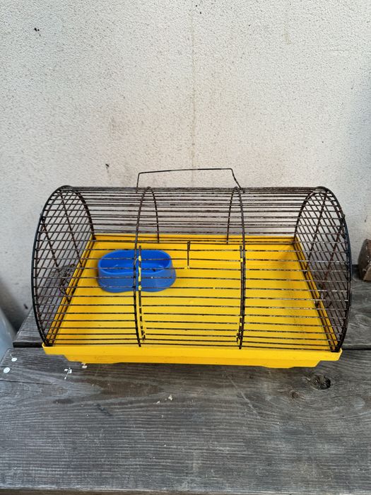 Кролики с клетками