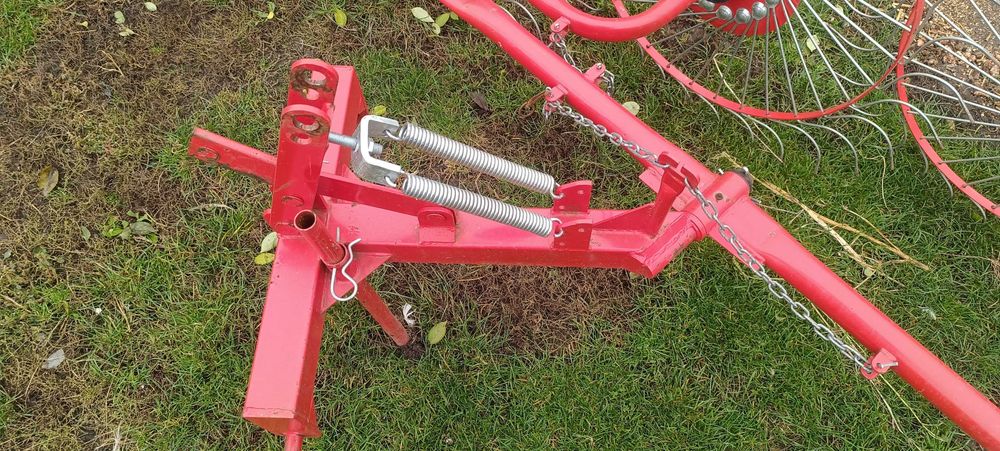 Грабарка сонечко