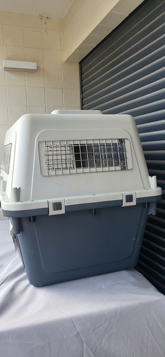 Transportadora de plástico