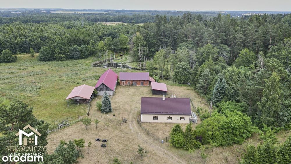 Wyjątkowe siedlisko na Warmii ze stawem – 1 ha