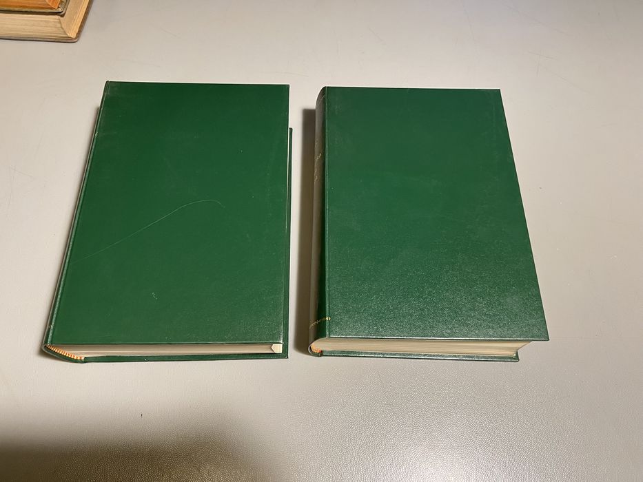 Coleção 2 Livros - Dicionário geral Luso-Brasileira da língua portuguesa