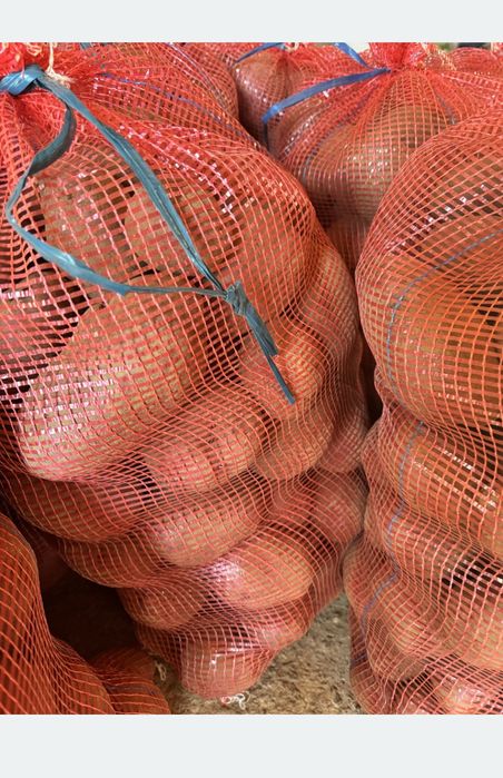 Vendo batatas novas vermelha