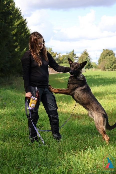 Forest 256/25 - SZUKA DOMU!