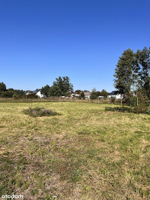 Działka budowlana 1520 m² przy Puszczy Noteckiej – Jaracz, ul. Sokola - Więcej