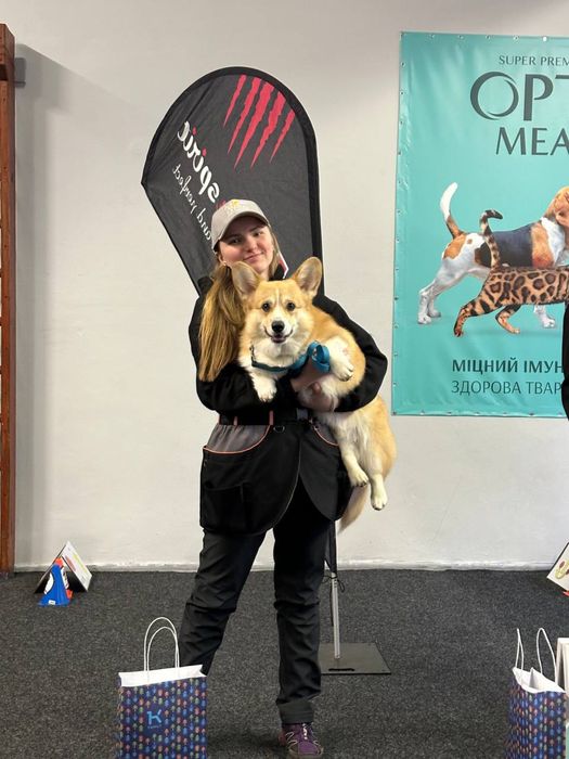 Дресирування навчання виховання собак Київ кінолог