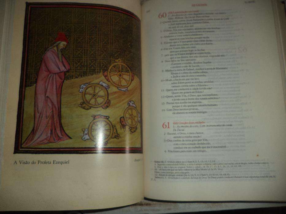 Biblía Sagrada ilustrada