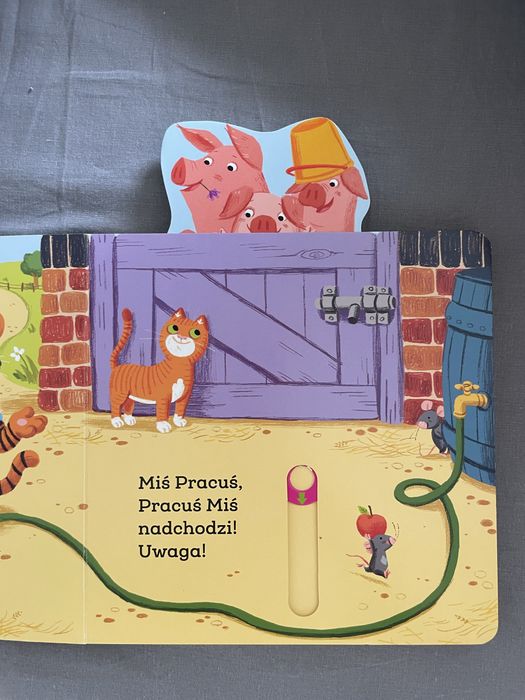 Ksiazka mis pracus na wsi