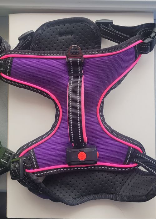 Шлейка, ошийник  для собак