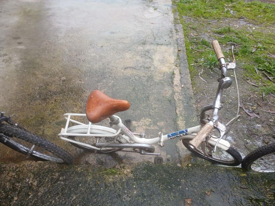 Bicicleta antiga