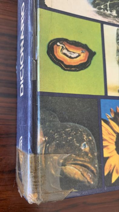 Dicionário Básico e ilustrado