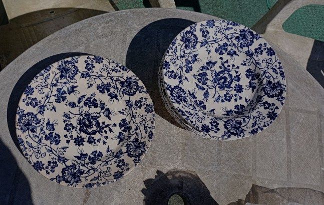 Conjunto de 8 pratos com um padrão brilhante!