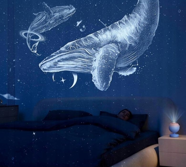 POCOCO Projektor gwiaździstego nieba z 2 płytami planetarium R17