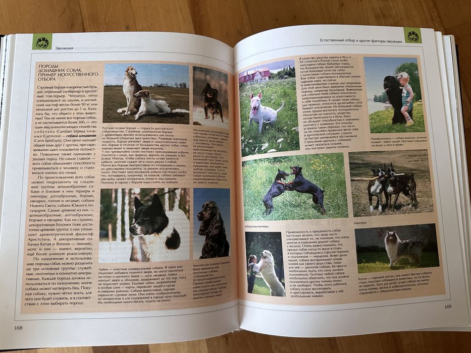 Энциклопедия для детей Аванта: История, Астрономия, Техника, Исскуство