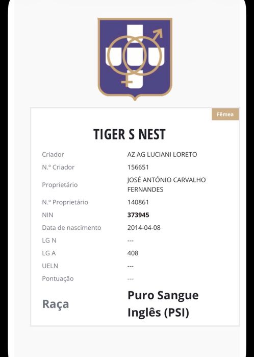 Venda de égua PSI ou troco por poldro