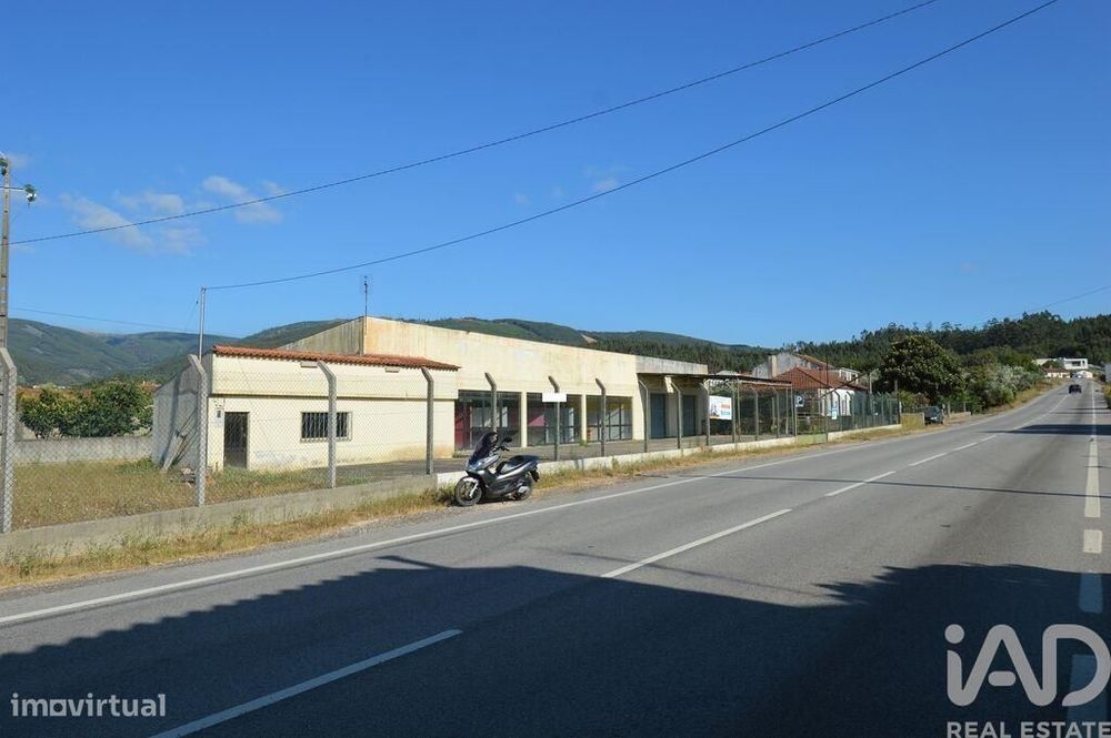 Loja / Estabelecimento Comercial em São Miguel, Santa Eufémia e Rabaça