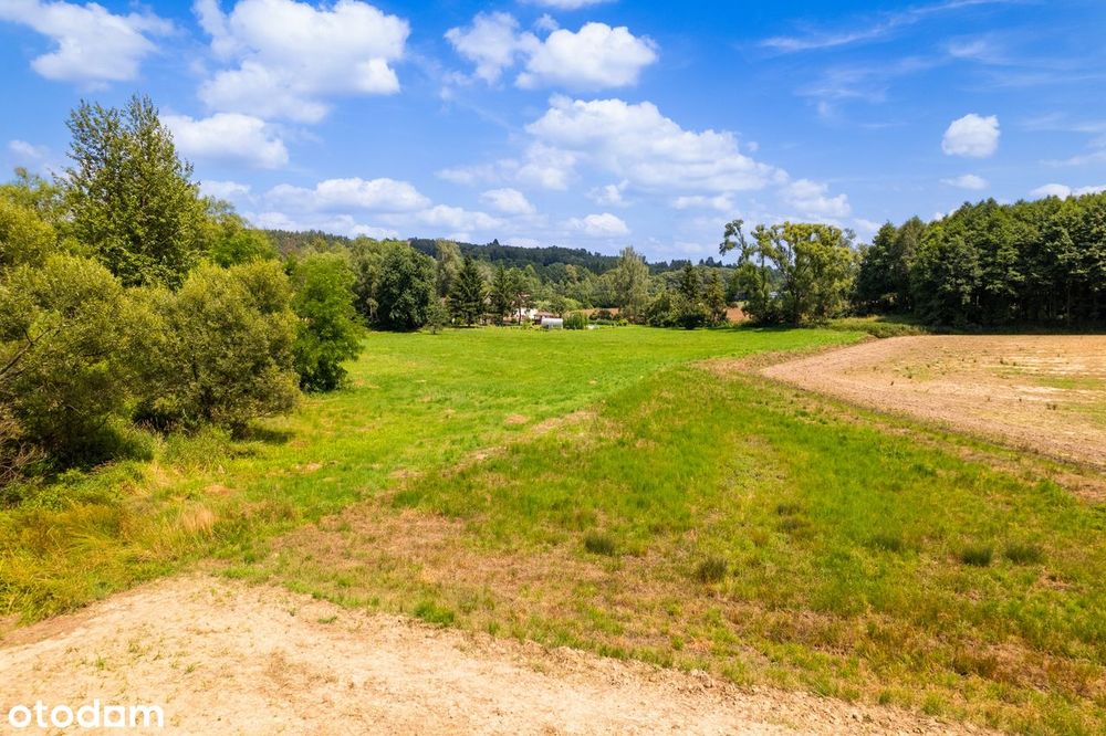 Burzyn, gm. Tuchów działka 57 ar – budowlana