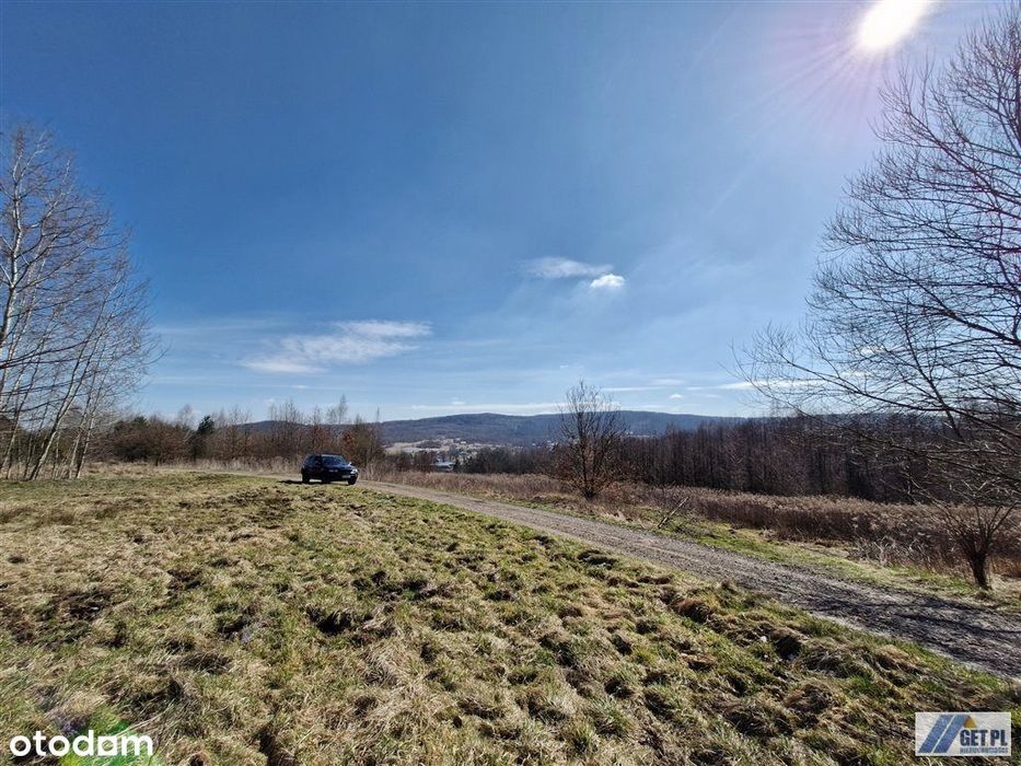 Urocza działka rolna przy drodze gminnej