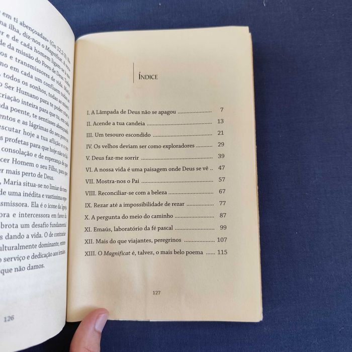 José Tolentino Mendonça - O Tesouro Escondido