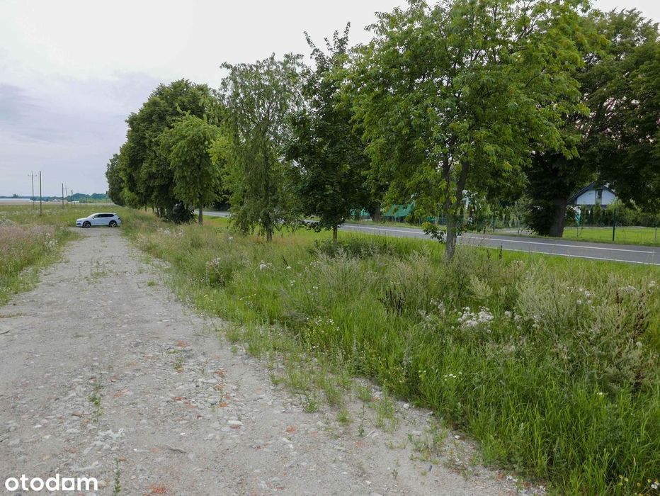 Wałcz PROMOCJA działki budowlane z planem miejscowym, blisko jeziora - Więcej