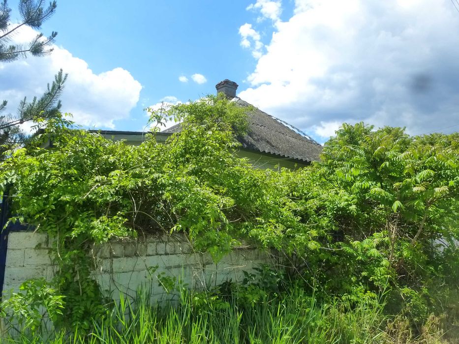 Терміново продам будинок в м. Зміів
