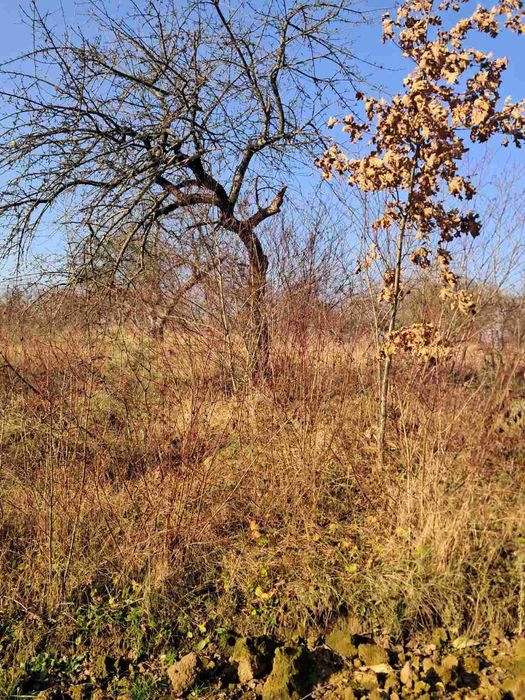 Продаж земельної ділянки під забудову в с.Бохоники 0962