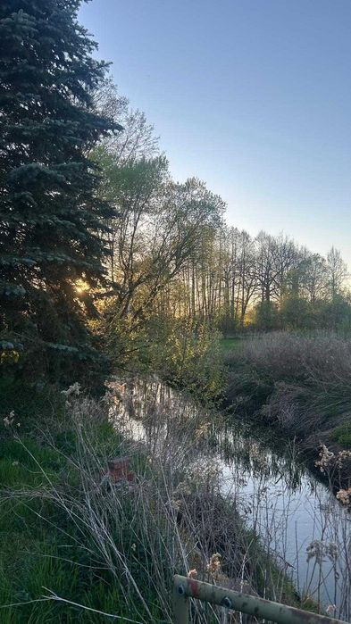Rezydencja z charakterem, staw  1500 m², 8700 m² działki budowlanej - 20 km od Nowego Tomyśla