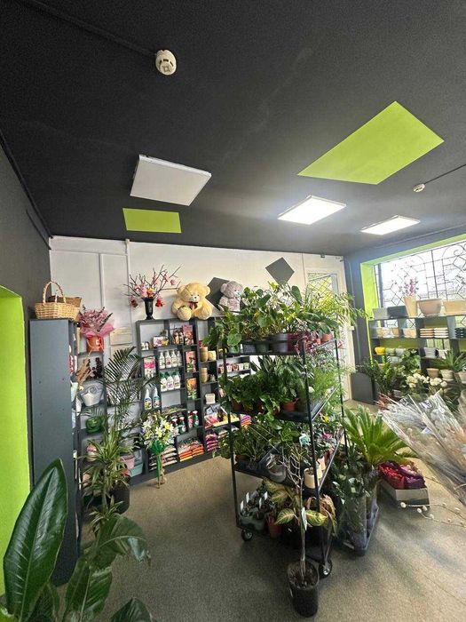 БОЯРКА 53м2 Здам КУТОВЕ приміщення з Панорамними вікнами біля ЗУПИНКИ