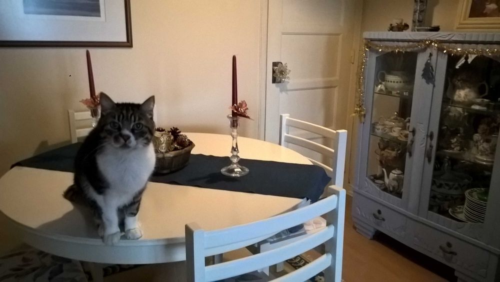 Mesa jantar Ikea, semelhante ao Mod. ROSENTORP Branco 110/155 cm