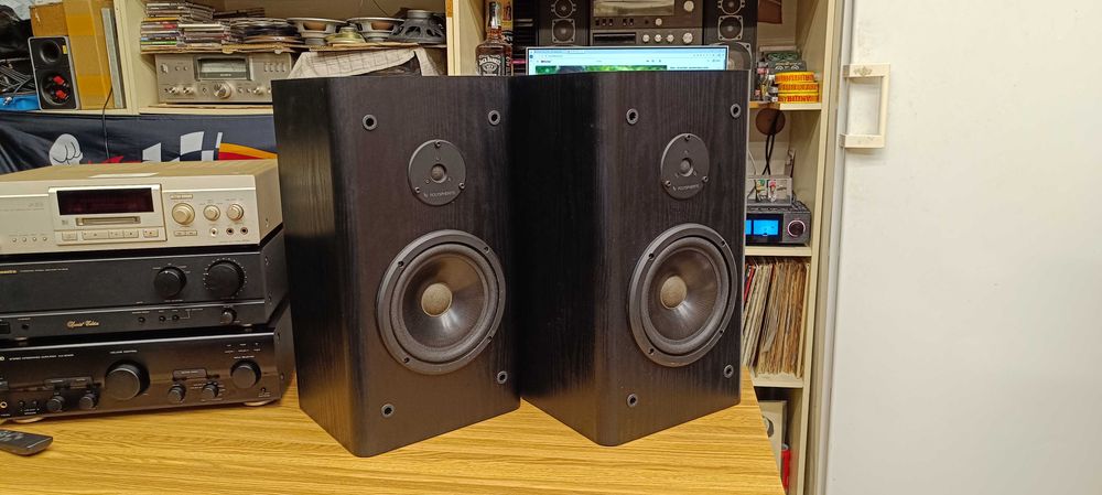 Акустика Infinity-RS 3001