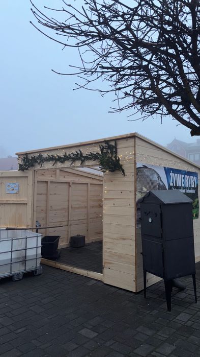 Karp Amur Sum Jesiotr Pstrąg