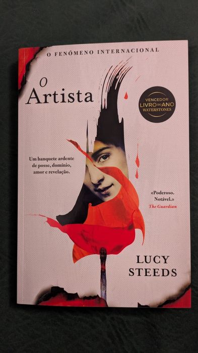Livro "O Artista" de Lucy Steeds