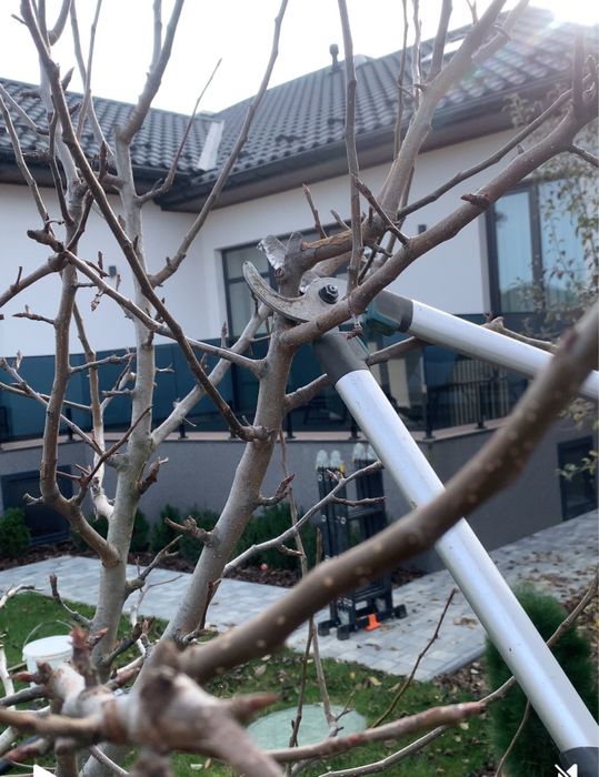 Обрізка саду Обрезка сада Обрізка дерев Обрезка деревьев