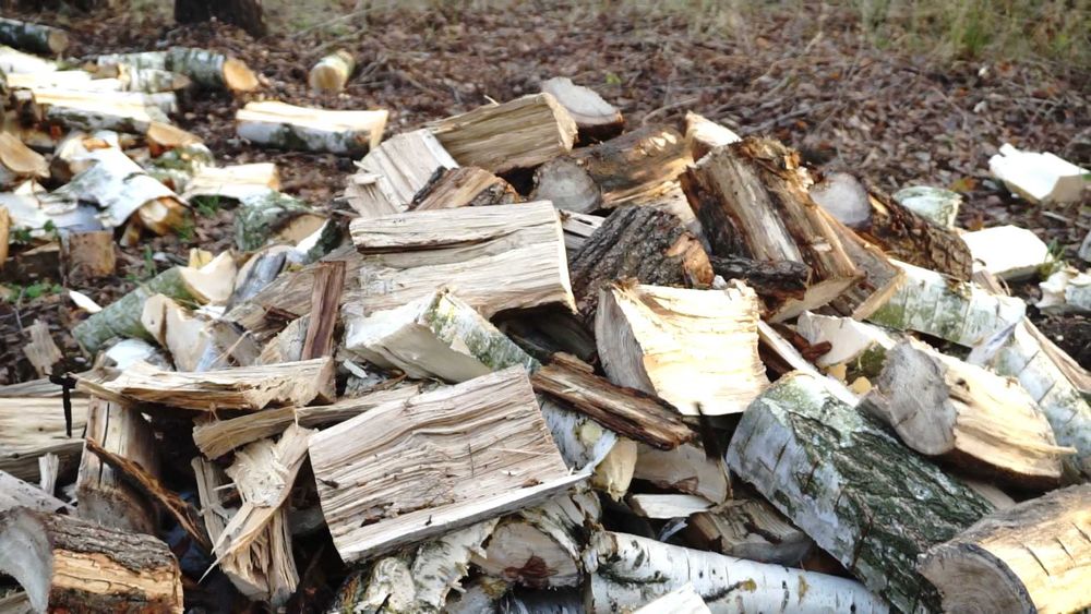 Rębak RP300+Taśmociąg 3m