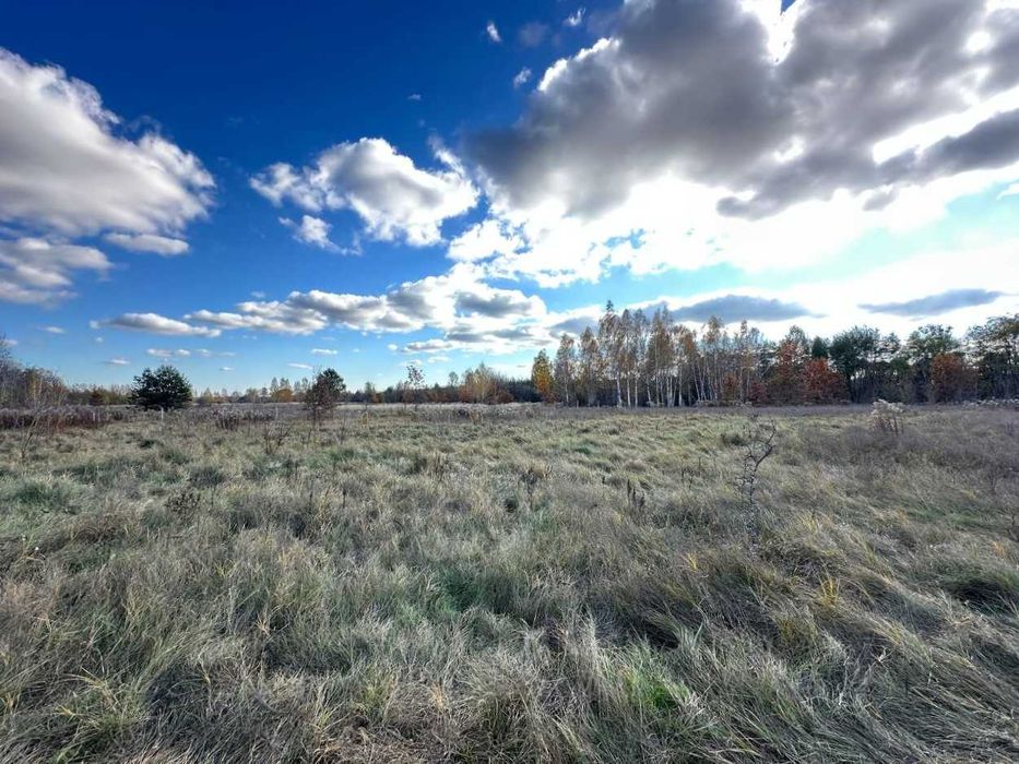 Продаж  ділянки 38,36сот.(25 сот під забудову+13,36ОСГ)Почепин.ID:732