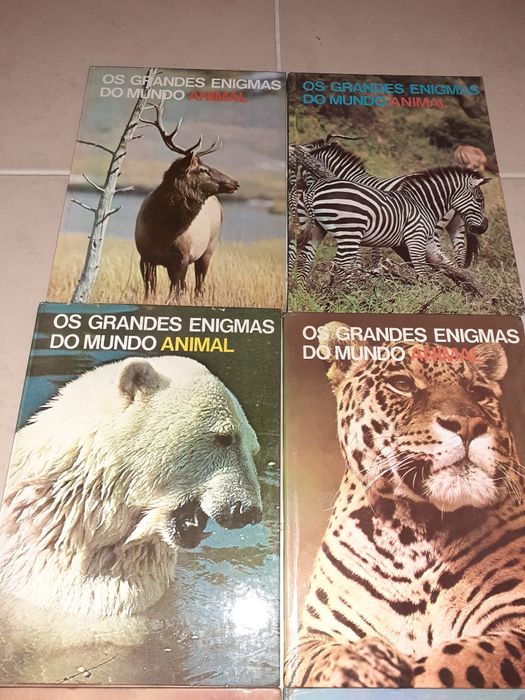 Conjunto de 6 livros grandes enigmas do mundo animal