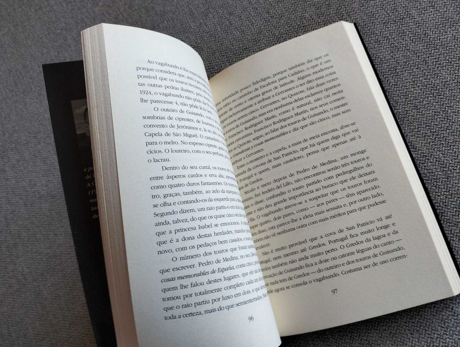 Livro "Vagabundo ao serviço de Espanha" de Camilo José Cela