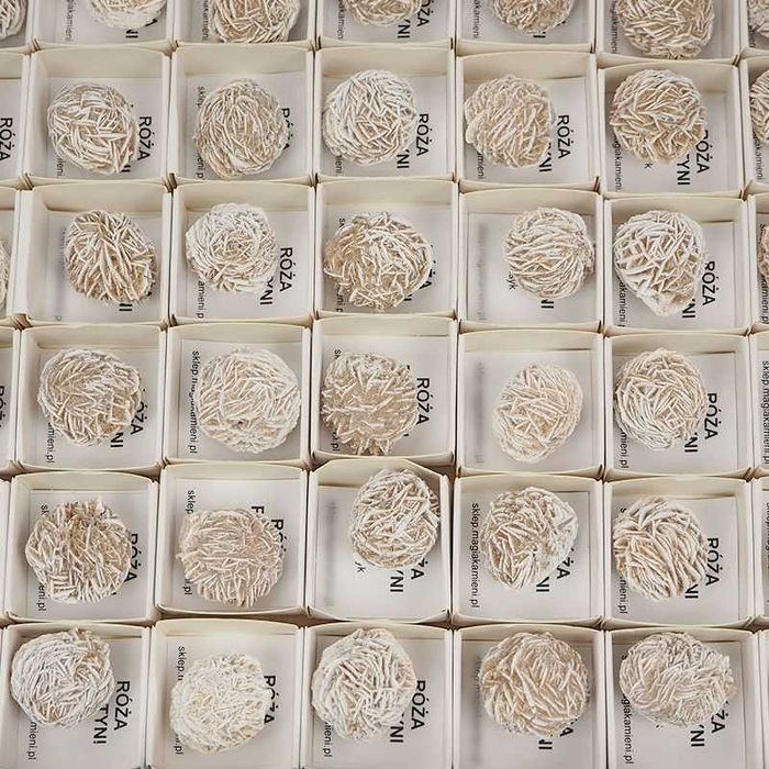 RÓŻA PUSTYNI 25-30 mm – Meksyk – w pudełku