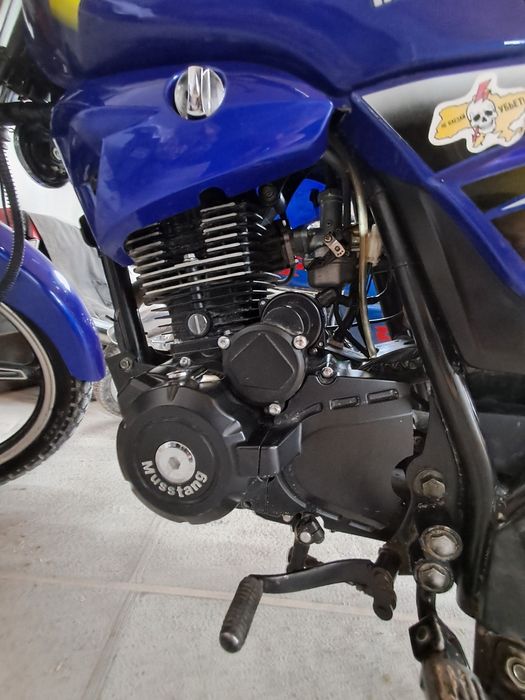 Мустанг регион 150