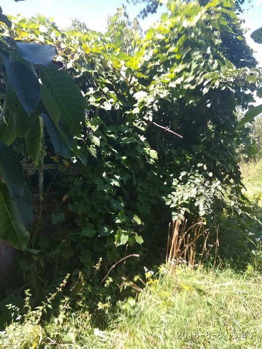 Продам будинок Черкаси Білозір'я №19