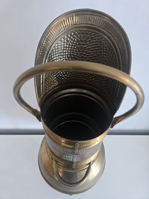 Parasolnik ozdobny