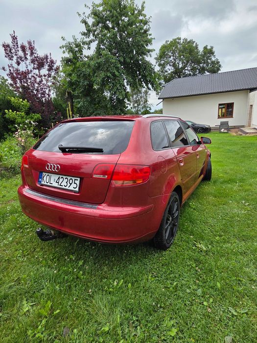 Audi A3 8P Quattro
