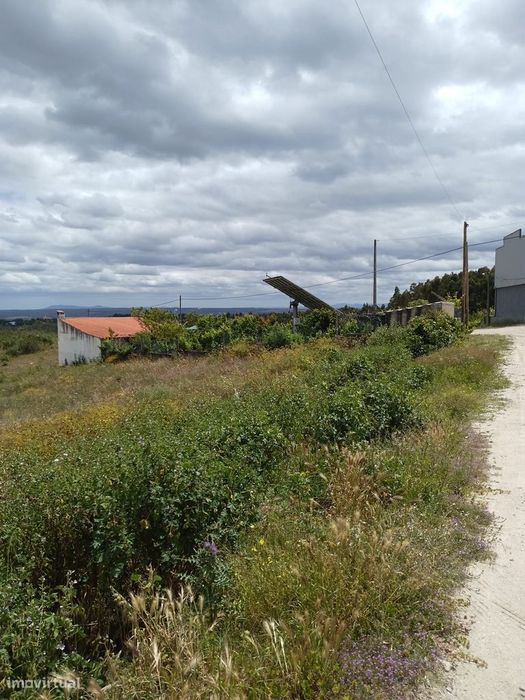 Lote Terreno para construção em Bairro N Sra Valongo, Castelo Branco