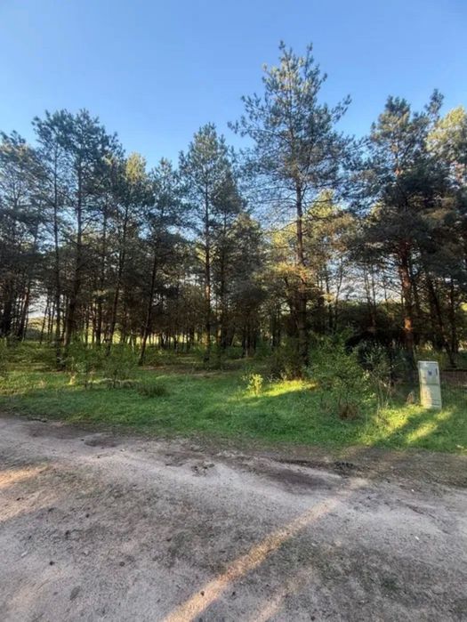 Działka przy lesie Nekielka - Widok 4