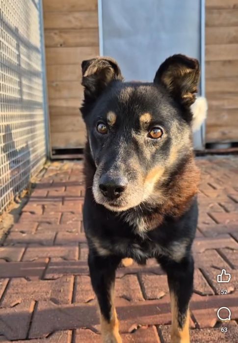 Derbi blaga o dom, ma czas do końca roku